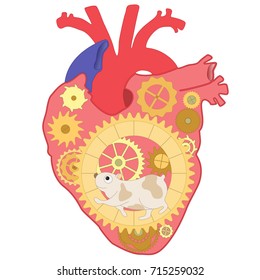 A human heart with a mechanism of gears that rotates a hamster