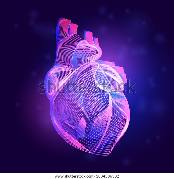 Human heart medical structure. Outline vector illustration of body part
