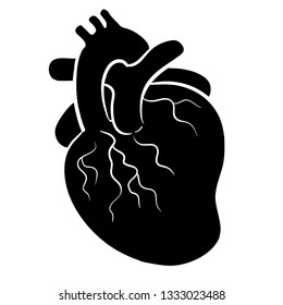 Human heart medical vector icon illustration isolated on white background 