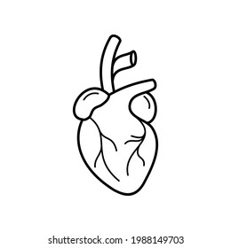 Human Heart Medical Vector Icon Illustration Stock Vector (Royalty Free ...