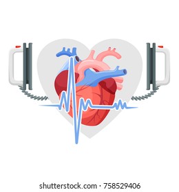 Human heart, modern defibrillator and piece of cordiagram