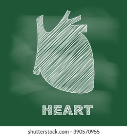 Human heart  on blackboard, vector illustration