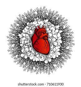 Human heart on a floral background. The human body, a symbol of the feelings, the energy of life, of love. Print, poster or tattoo. Vector illustration. Art. Symbolism, mystic, mysticism, mystery
