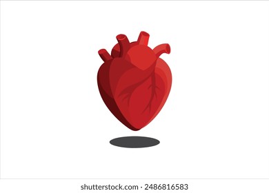Human heart on a gray vector art illustration