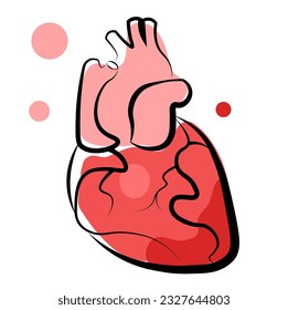 El corazón humano sobre un fondo blanco. Ilustración vectorial en estilo doodle