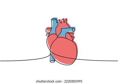 Human heart one line colored continuous drawing. Human organ continuous colorful one line illustration. Vector minimalist linear illustration.