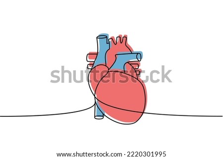 Human heart one line colored continuous drawing. Human organ continuous colorful one line illustration. Vector minimalist linear illustration.