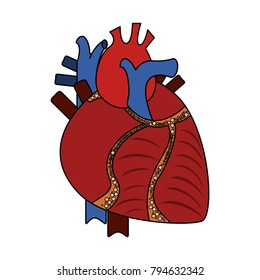 Isolated Engraving Colorful Red Human Heart Stock Vector (Royalty Free ...