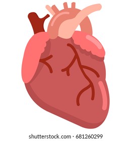Human heart organ icon, vector illustration flat style design isolated on white. Colorful graphics