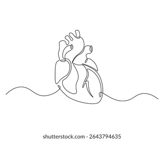 Human heart organ outline drawing illustration. one continuous line drawing of heart.