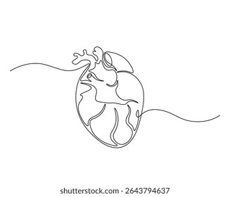 Human heart organ outline drawing illustration. one continuous line drawing of heart.