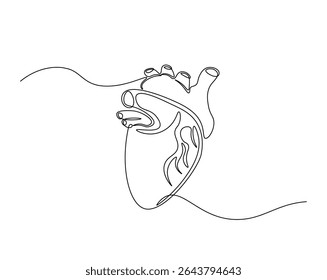 Human heart organ outline drawing illustration. one continuous line drawing of heart.