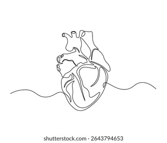 Human heart organ outline drawing illustration. one continuous line drawing of heart.
