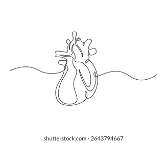 Human heart organ outline drawing illustration. one continuous line drawing of heart.