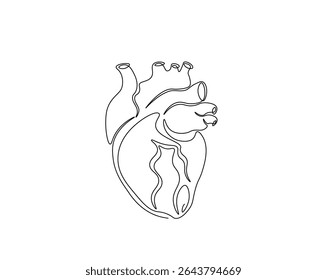 Human heart organ outline drawing illustration. one continuous line drawing of heart.