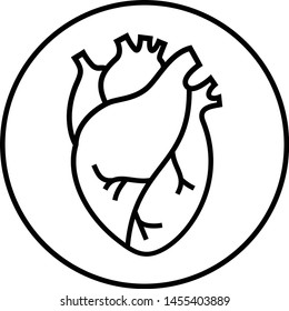 Human heart organs vector line icon isolated on white background.