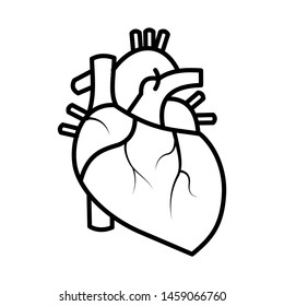 Human Heart Outline Sketch. Black And White Line Art.