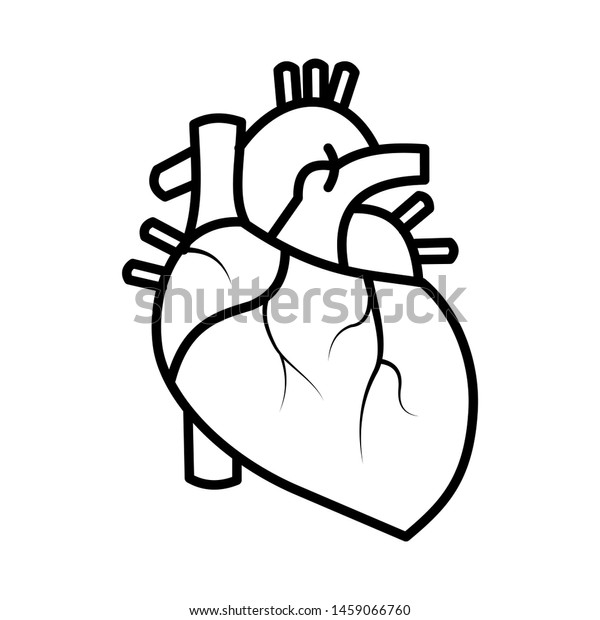 Human Heart Outline Sketch Black White Stock Vector (Royalty Free ...