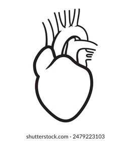 Human Heart Outline Symbol. Vector illustration isolated on white background, eps