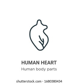 Icono vectorial de contorno cardíaco humano. Icono de corazón humano negro de línea delgada, ilustración de elemento simple vectorial plano de partes del cuerpo humano editable concepto de trazo aislado en fondo blanco