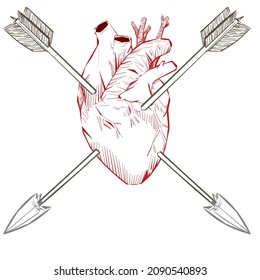 Human Heart Pierced With Arrows Vector Illustration. Heart Symbol Pierced With Arrows Sketch Engraving. Romantic Love Lovesickness Symbol
