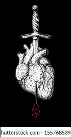 The human heart is pierced with a dagger. Hand drawn vector illustration. Realistic sketch. Engraved style. Tattoo print.