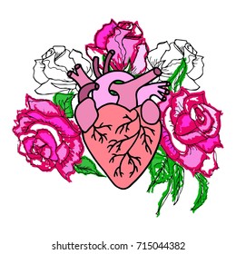 Human heart with pink roses. Vector illustration. Isolated on white background.
