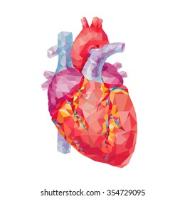 human heart. polygonal graphics. vector illustration