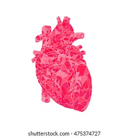 human heart. polygonal graphics. vector illustration