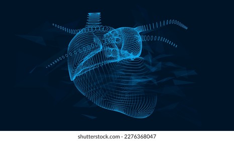 Human Heart polygonal line and point. Low poly health care vector illustration. plexus, wireframe style. medicine