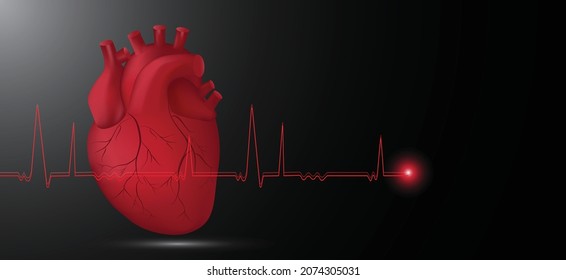 Human heart with heart rate on black background. Organ symbol. for cardiology clinic.