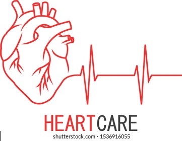 Human heart with heart rate pulse. Concept of heart care