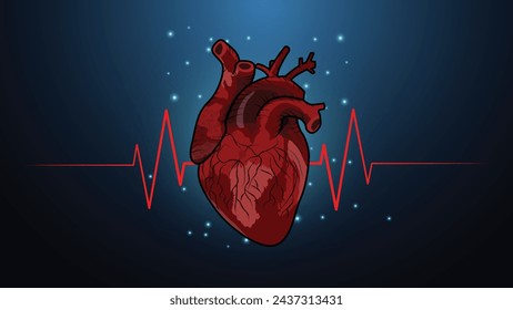 Human heart with red cardio pulse line,Vector illustration.