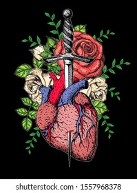 The human heart and roses is pierced with a dagger. Hand drawn vector illustration. Colorful illustration . Tattoo print. 