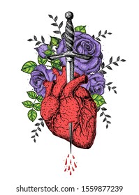 The human heart and roses is pierced with a dagger. Hand drawn vector illustration. Colorful illustration . Tattoo print.