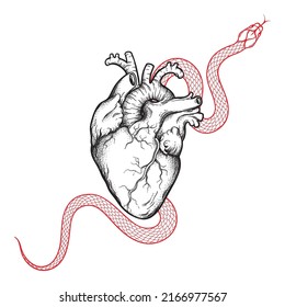 Human heart and serpent hand drawn line art and dotwork. Flash tattoo or print design vector illustration
