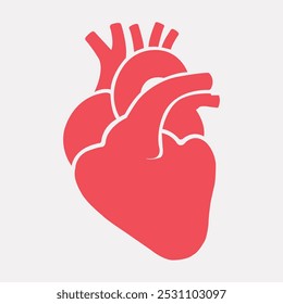 Coração humano. Conjunto de órgãos humanos internos realistas. Ilustrações para website médico, aplicação, manuais de treinamento. Cartaz médico de cardiologia Coração vermelho