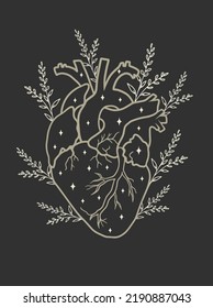 Human Heart Silhouette With Flowers And Stars. Magical Vector Art