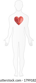 The Human Heart in Situ ECG Trace