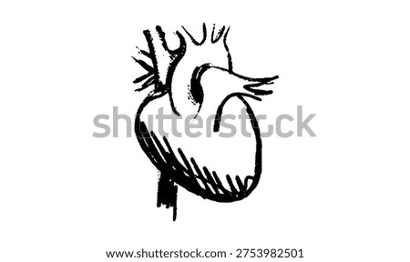Human heart sketch. Anatomical structure featuring chambers, valves, and major blood vessels. Ideal vector for cardiology infographics, healthcare education, and biological science projects