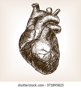 Human heart sketch style  vector illustration. Old hand drawn engraving imitation. Heart illustration
