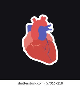 human heart, sticker. vector illustration