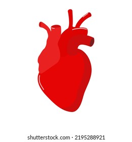 El corazón humano está estilizado, en rojo. Estilo plano.