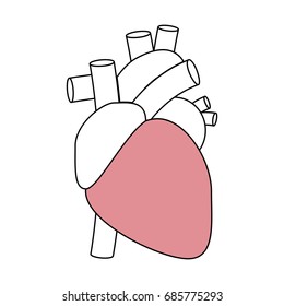 Human heart symbol