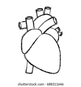 Human heart symbol