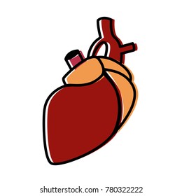 Human heart symbol