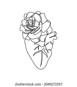Human heart and tea rose one line set art  Continuous line drawing internal organ   flowers 