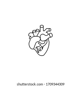 Human Heart Thin Line Icon