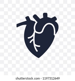 Human Heart transparent icon. Human Heart symbol design from Human Body Parts collection.