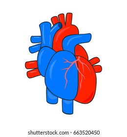 Human heart and trunk vessels in a conditional simplified anatomy. Abstract medical logo design